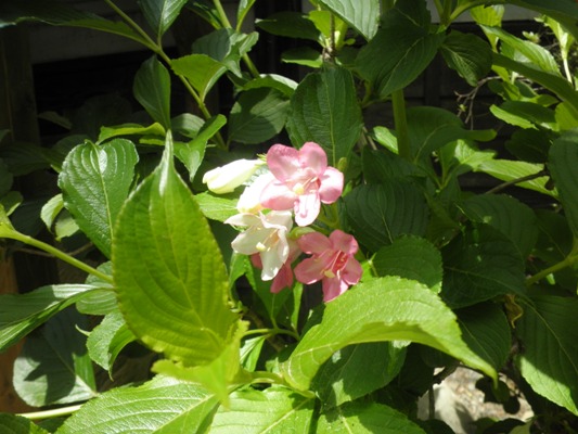 tani3280601