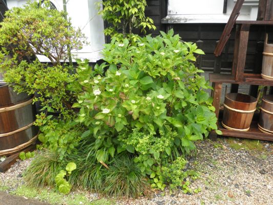 tefunaka270611