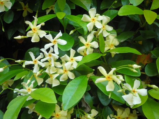 teikakin270525