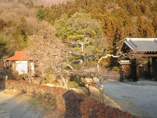temaen270120