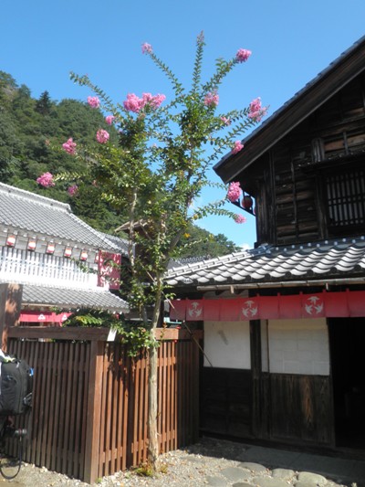 tenjiku260914