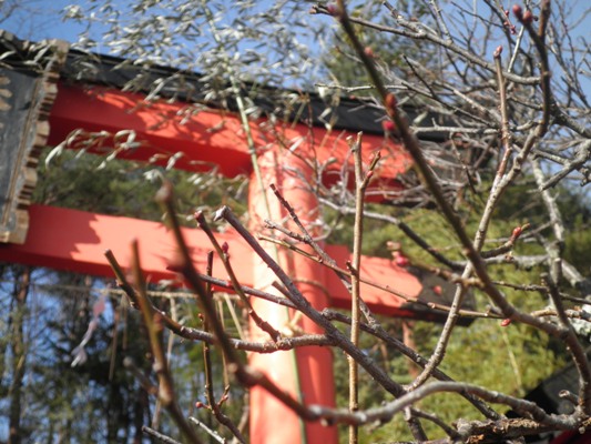 tenkin270105
