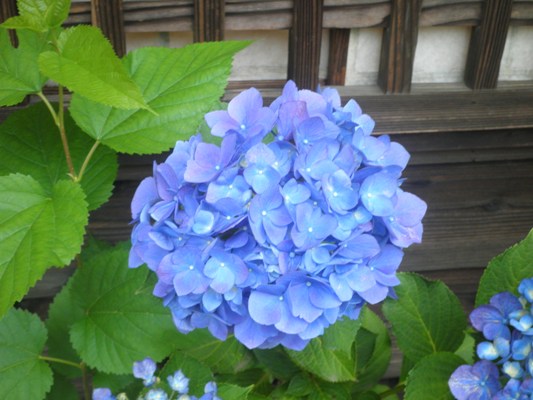 tenkin270630