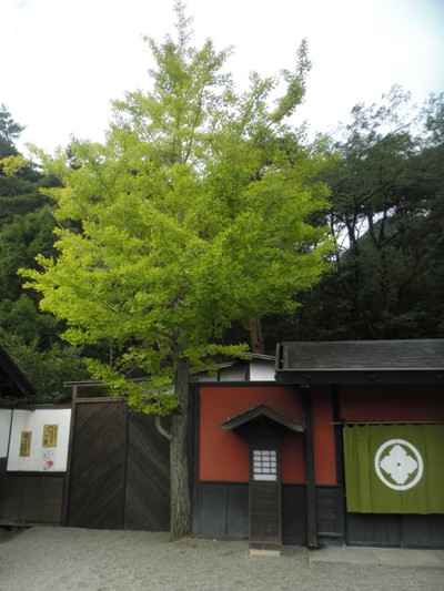 tenma2280921