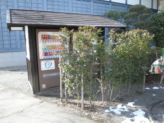 terakin270213