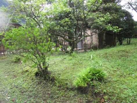 tu2010813
