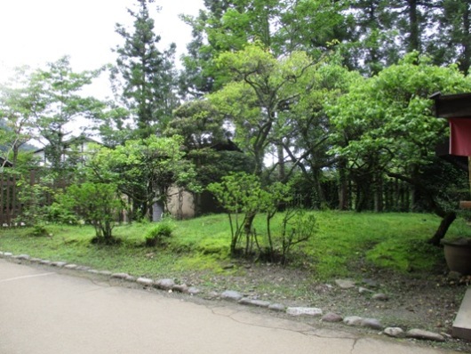 tuyu1010813