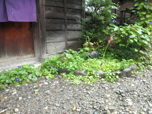 tuyu5280920