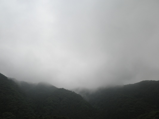 tuyuzora270621