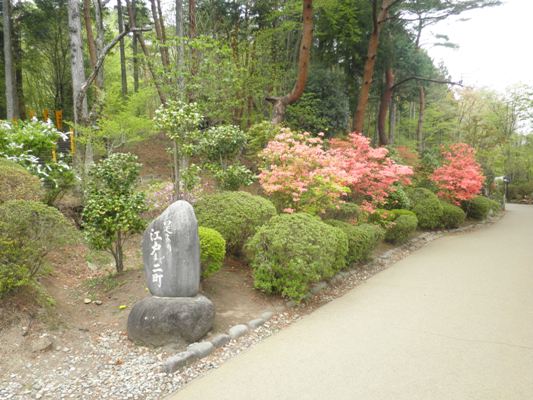 tuzen260428