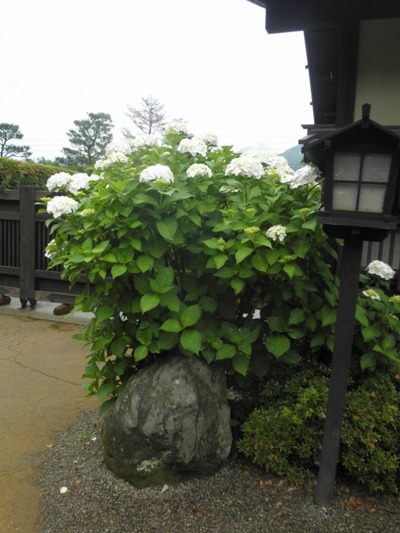ukenaka270624