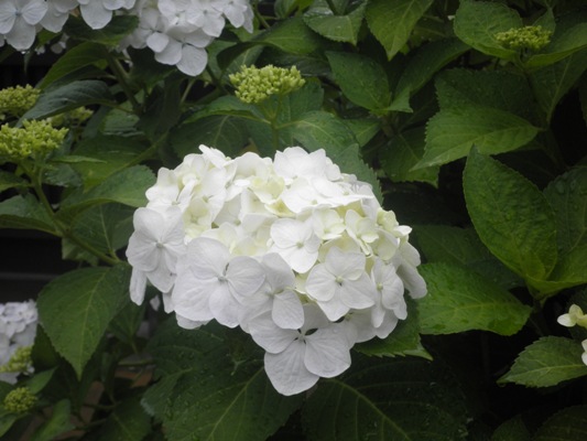 ukese270624