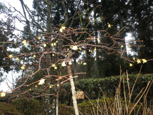 ukin270122