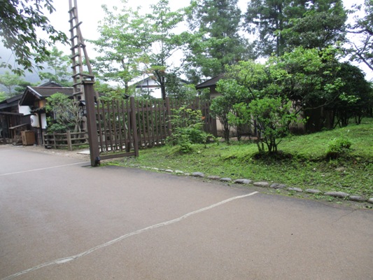ume1010723