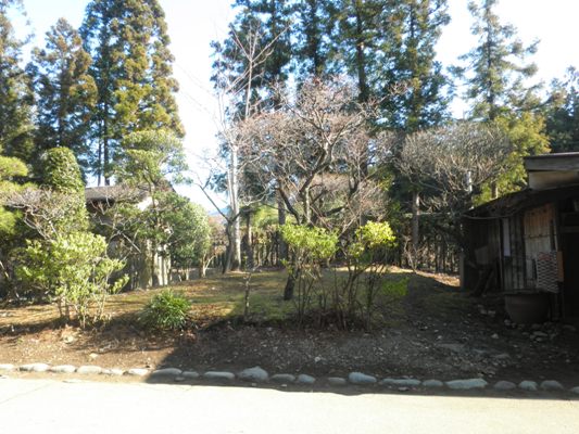 ume1280105