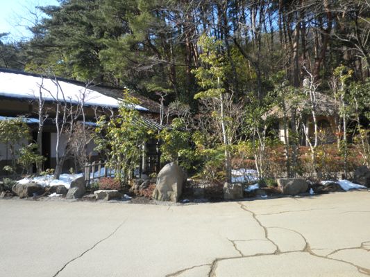 ume1280209