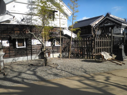 ume1281130