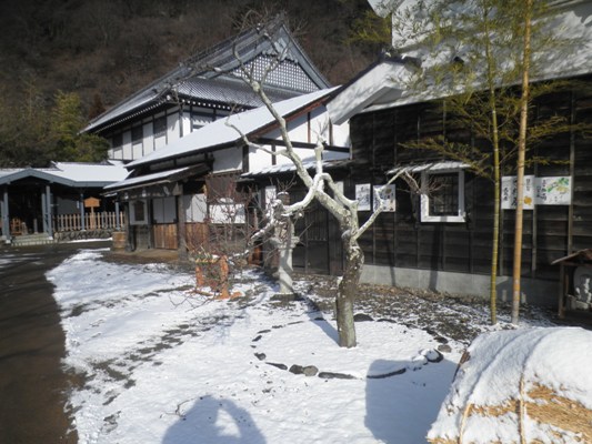 ume1290202