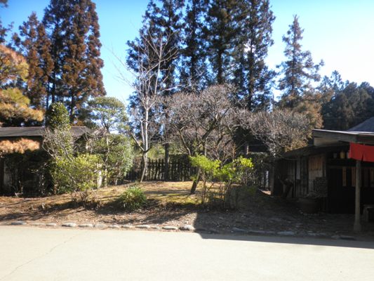 ume1290222