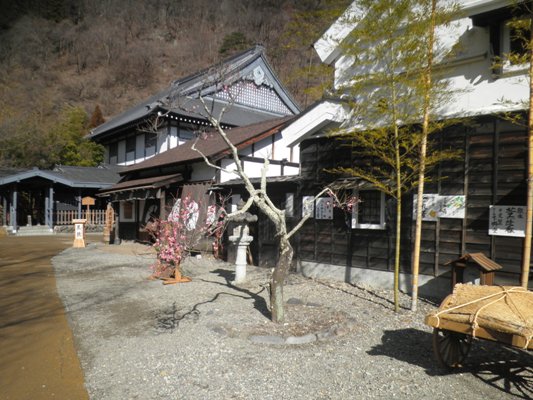 ume1290306