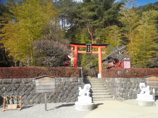 ume1290309