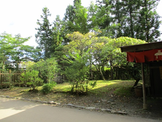 ume1290922