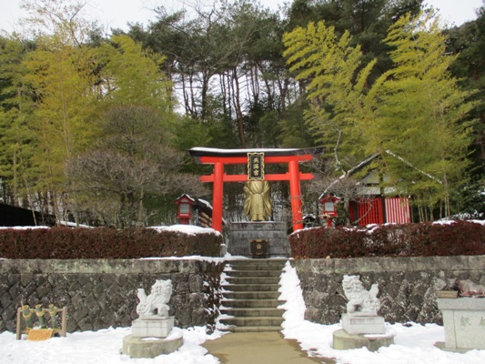 ume1300131