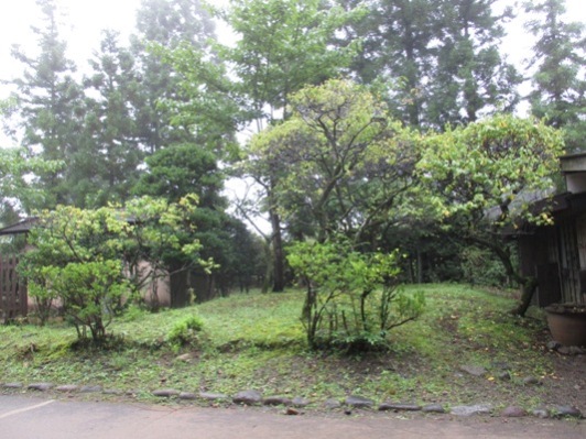 ume1300912