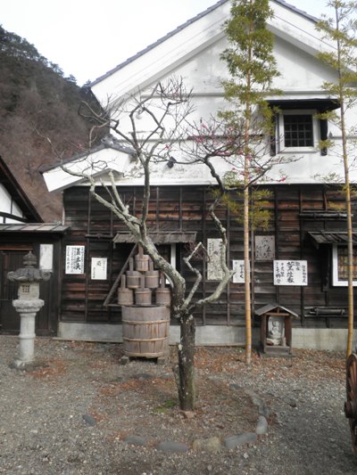 ume21271229