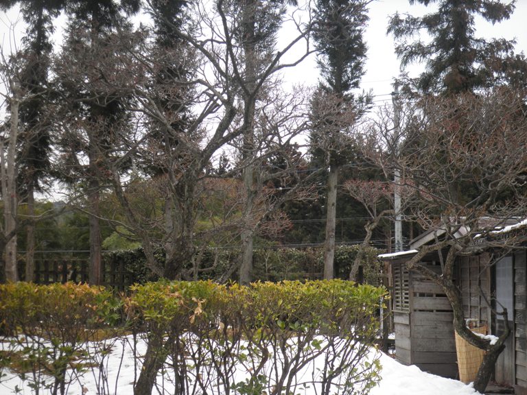 ume2230214