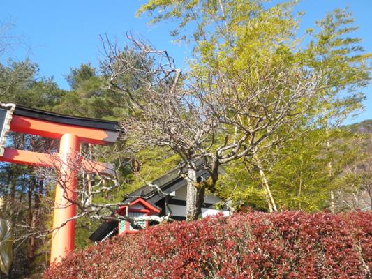 ume2280128
