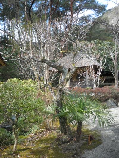 ume2280219
