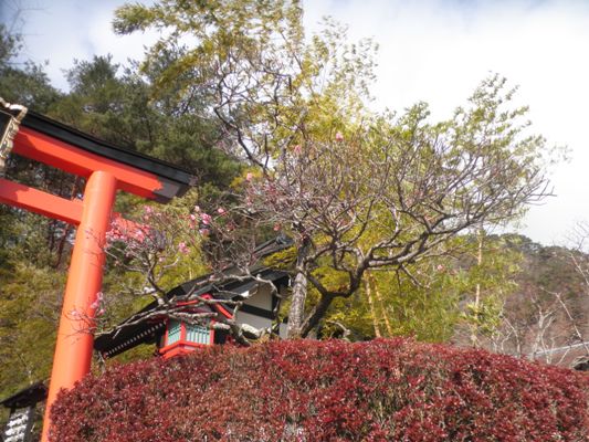 ume2280301