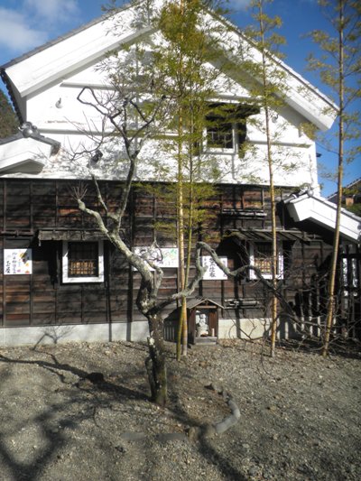 ume2281130