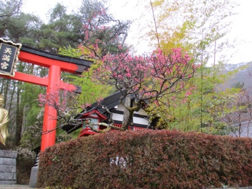 ume2290409
