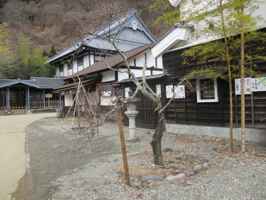 ume2300108