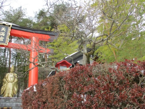 ume2300131