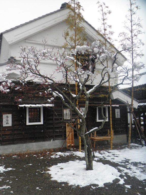 ume230212