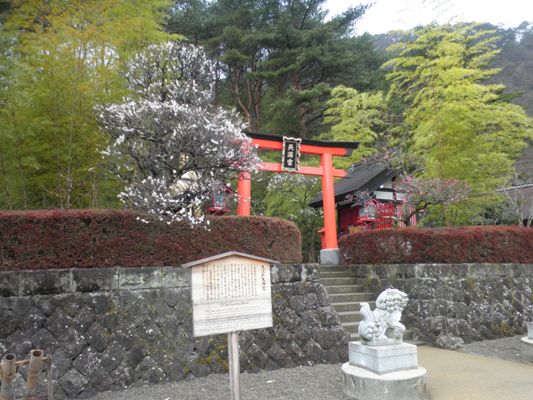 ume280319