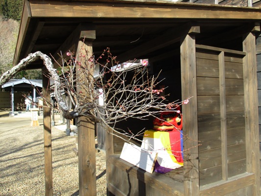 ume30112