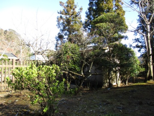 ume3020103