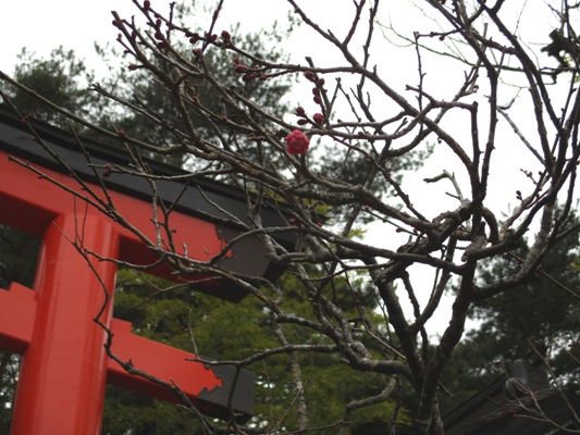 ume3020129