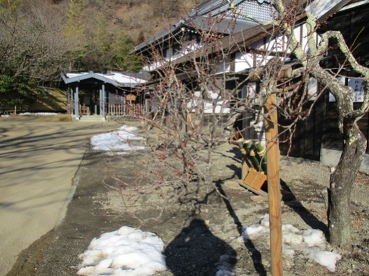 ume3300205