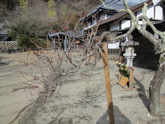 ume3300212
