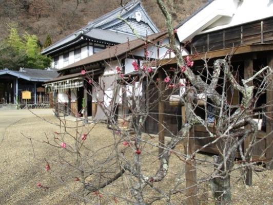 ume3301222