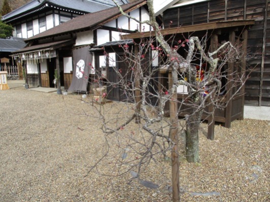 ume3310111