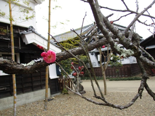 ume4020127