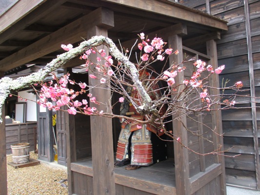 ume4020313