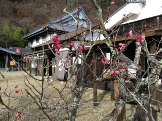 ume4301222
