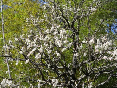ume5020321